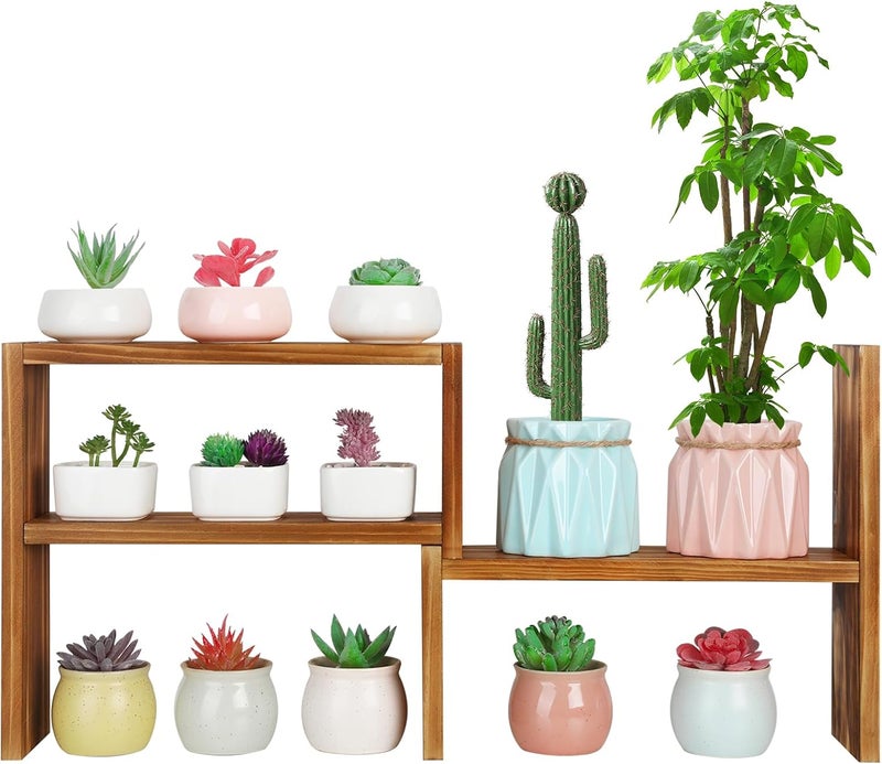 OcBuct 5 Tiered Small Window Plant Shelf,Wooden Desktop Plant Stand Indoor ,Table Top Plants Shelves,Window Sill Shelf for Plants Lovers,Succulent, Countertop Plant Rack Holder - Image 1